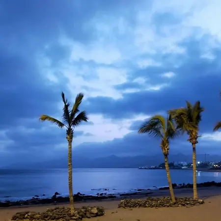 Ave Paraiso - Cozy And Sunny House