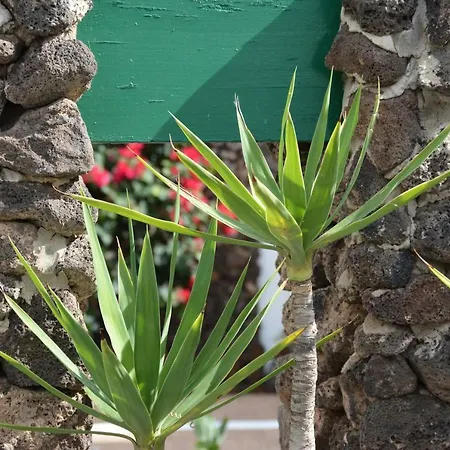 Lejlighed Ave Paraiso - Cozy And Sunny House