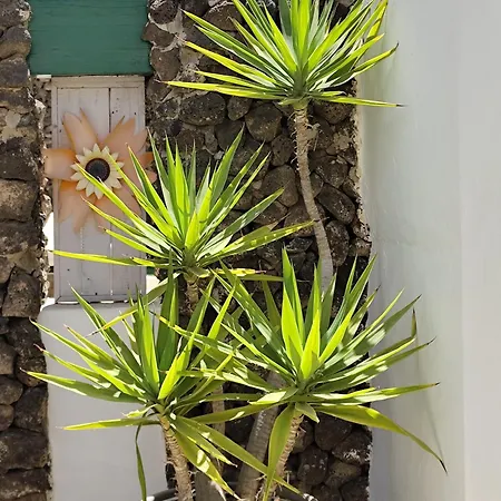 Ave Paraiso - Cozy And Sunny House *