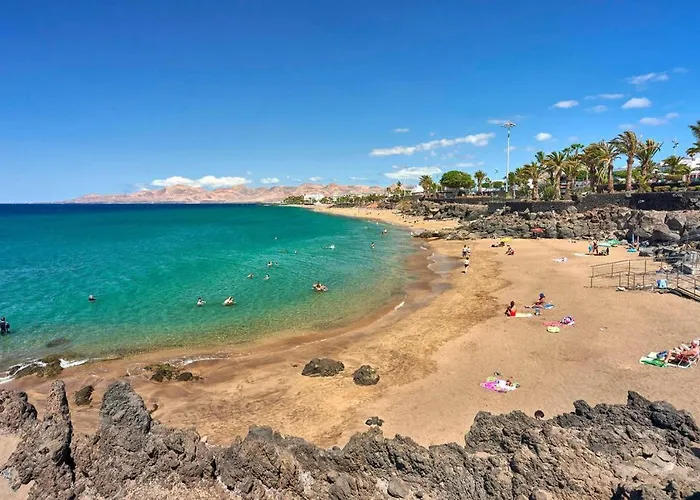 Ave Paraíso - Cozy&sunny House