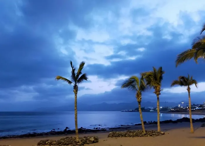 Ave Paraíso - Cozy&sunny House