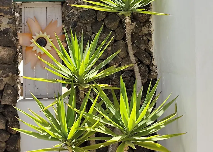 Ave Paraíso - Cozy&sunny House *