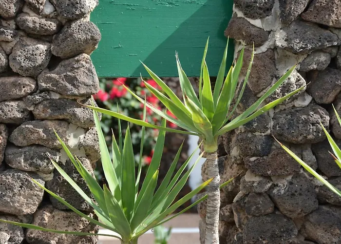 Apartman Ave Paraiso - Cozy And Sunny House