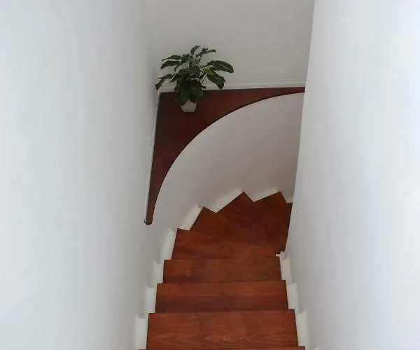 Ave Paraíso - Cozy&sunny House Apartamento *