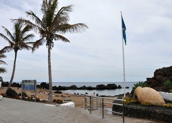 Ave Paraíso - Cozy&sunny House