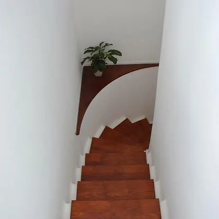 Ave Paraíso - Cozy&sunny House Apartmán *